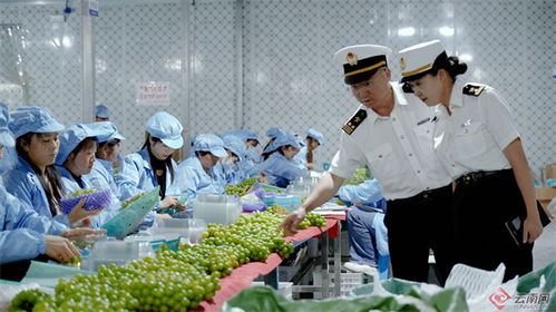 大理州2023年外貿進出口總值大幅增長78.8%，農產品出口表現亮眼
