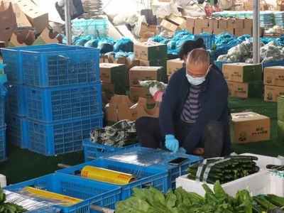 守護“菜籃子”與“菜園子” 疫情期間農產品穩產保供的實踐與探索