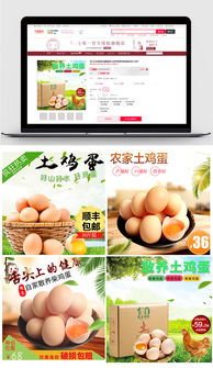 綠色山水農(nóng)產(chǎn)品雞蛋——電商主圖設(shè)計(jì)素材下載指南